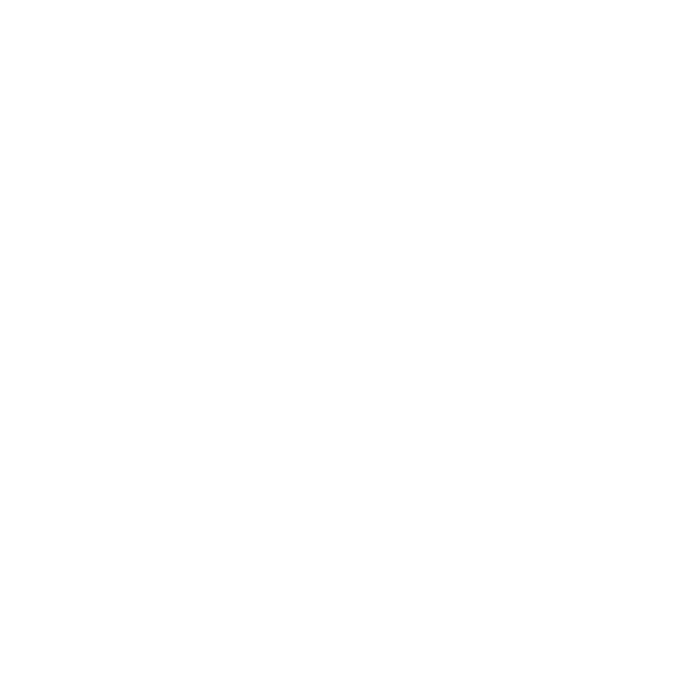 SVF_Icon_Transport_White